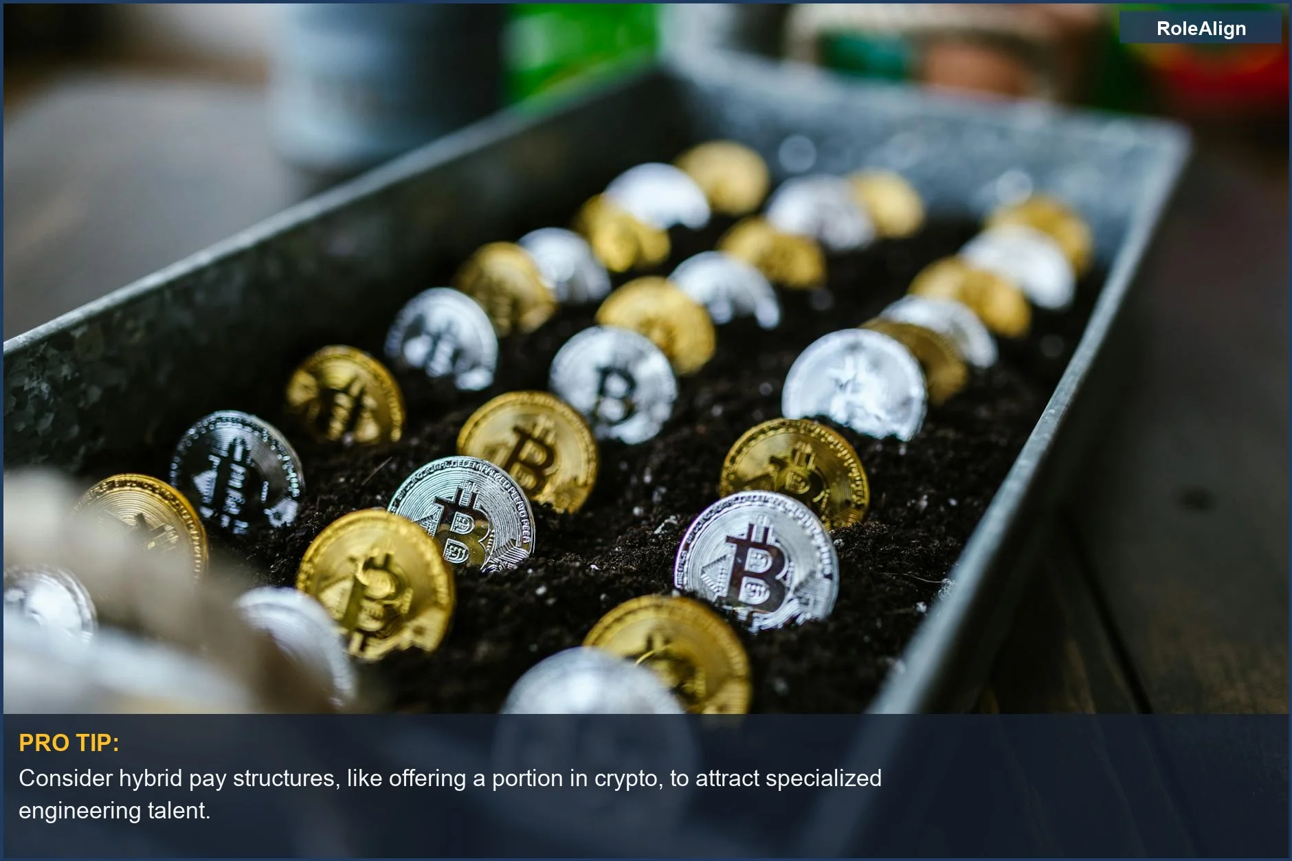Gold and silver Bitcoin coins grow in soil, symbolizing investment and growth in cryptocurrency employee compensation.