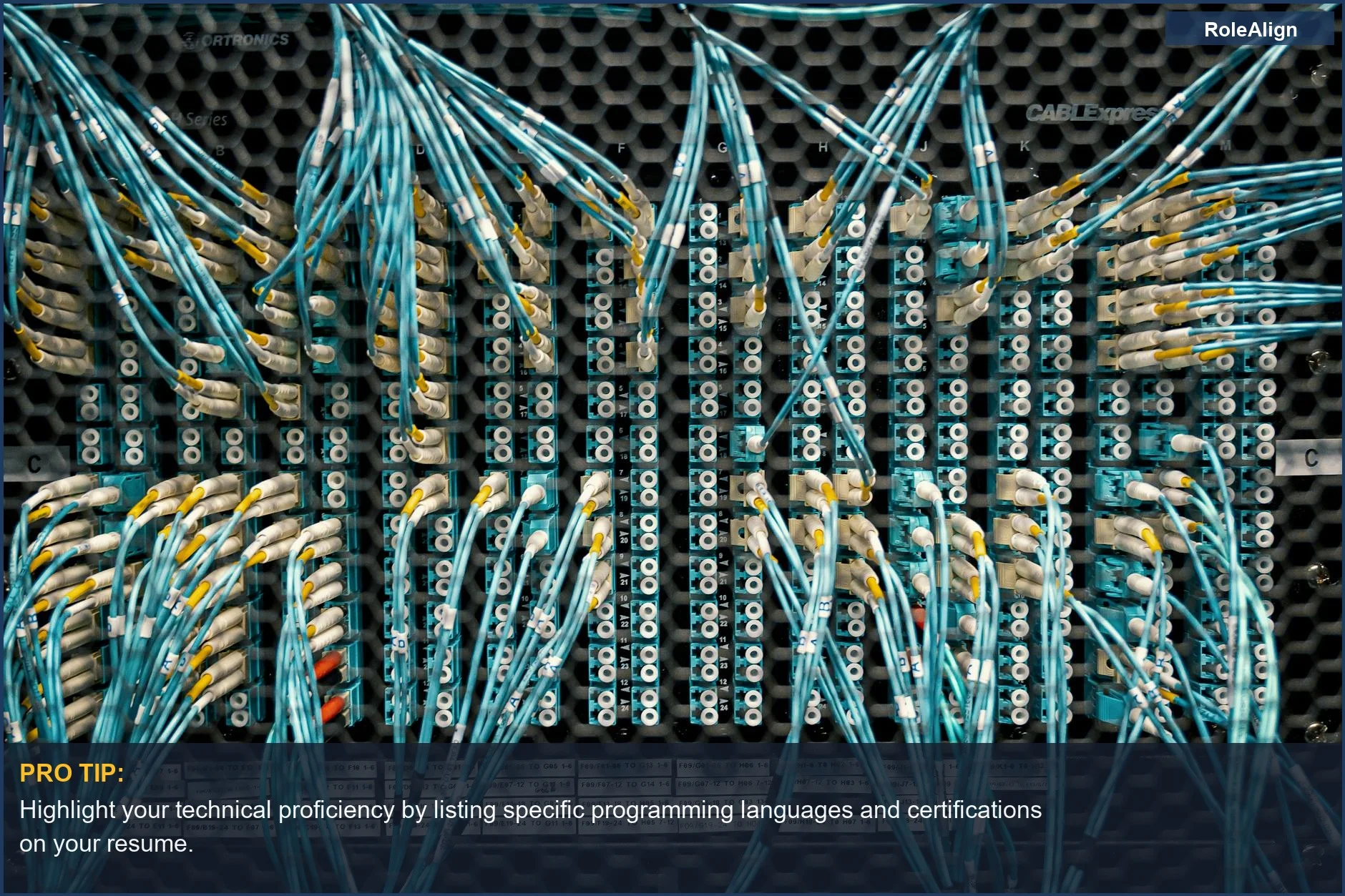 Colorful fiber optic cables in a data center, symbolizing the technical skills needed in industries that can't fill positions.